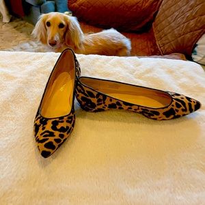 Ivanka Trump leopard flats worn once. Size 6 1/2, no box ,excellent condition.
